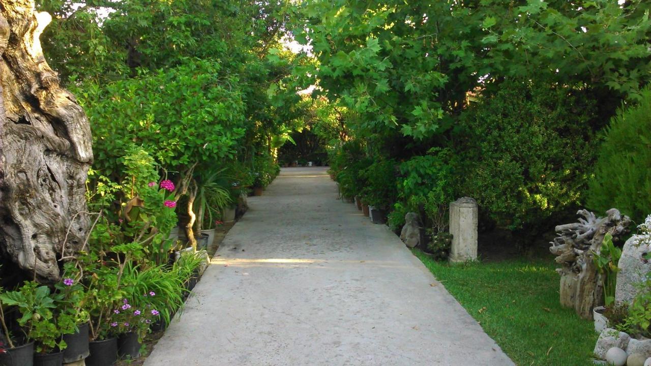 Baha-Ammes Apartment Svoronata Luaran gambar